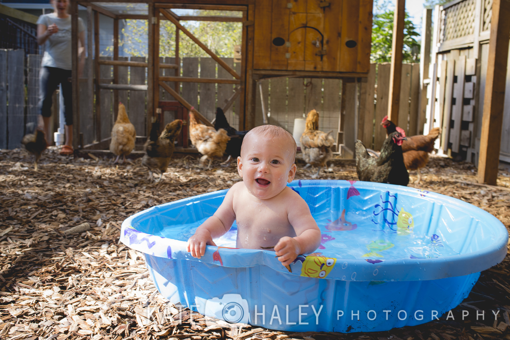 Kiddie Pools and Chicken Coops » Kate Haley Photography